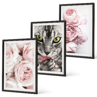 Set of 3 framed wall art pieces Cat in pink flowers