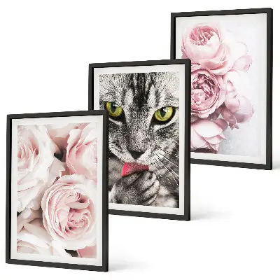 Cat in pink flowers framed wall art set of 3 pieces
