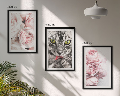 Set of 3 framed wall art pieces Cat in pink flowers