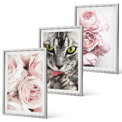 Set of 3 framed wall art pieces Cat in pink flowers
