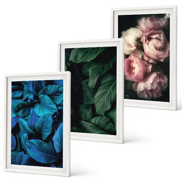 Three-piece wall art piece Leaves, flowers, different colors