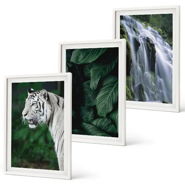 White tiger leaves waterfall wall art set of 3 framed pieces