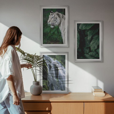 Set of 3 framed wall art pieces White tiger leaves waterfall