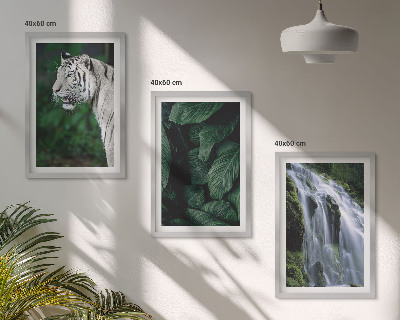 Set of 3 framed wall art pieces White tiger leaves waterfall