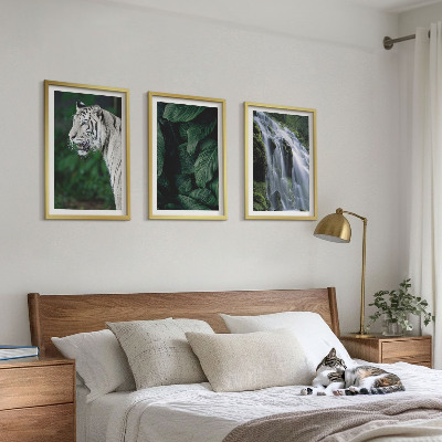 Set of 3 framed wall art pieces White tiger leaves waterfall