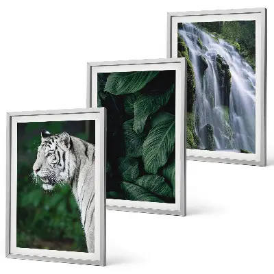 White tiger leaves waterfall wall art set of 3 framed pieces
