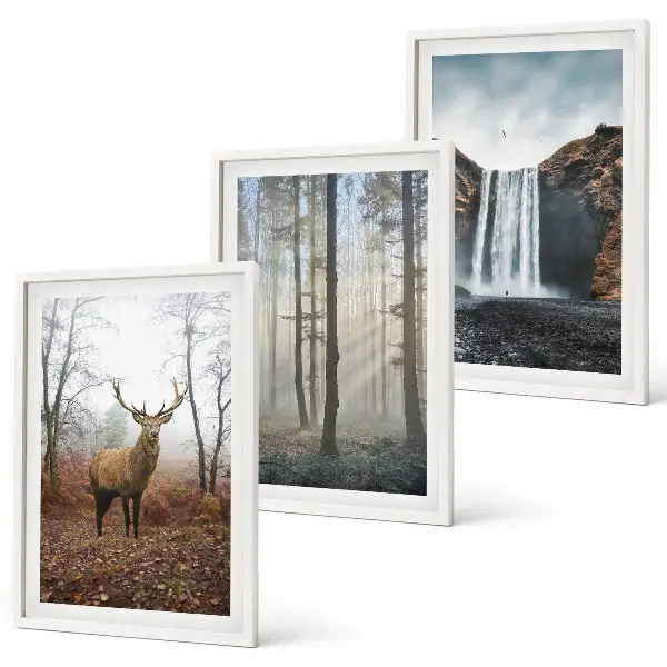 Wall art set forest landscapes and wild nature