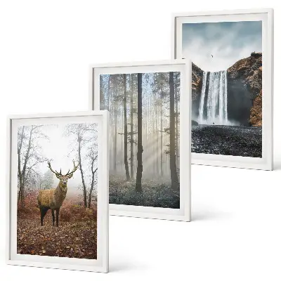 Wall art set forest landscapes and wild nature