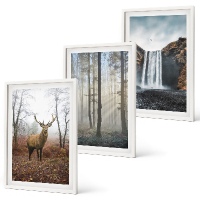 Wall art set Forest landscapes wild nature