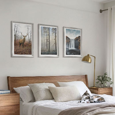 Wall art set Forest landscapes wild nature