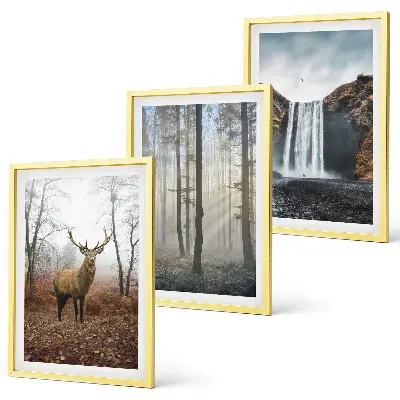 Wall art set forest landscapes and wild nature