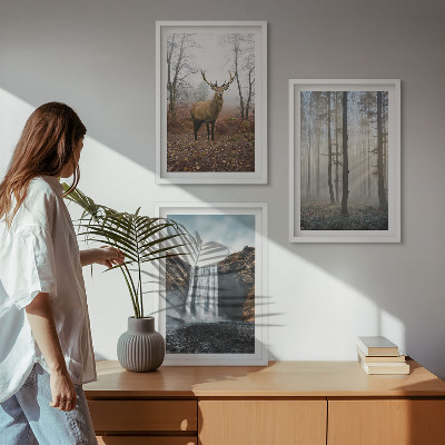 Wall art set Forest landscapes wild nature