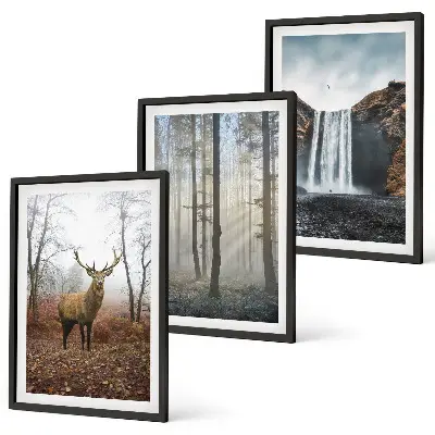 Wall art set forest landscapes and wild nature