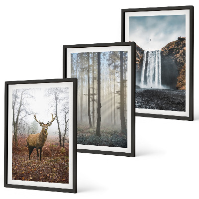 Wall art set Forest landscapes wild nature