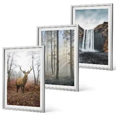 Wall art set forest landscapes and wild nature