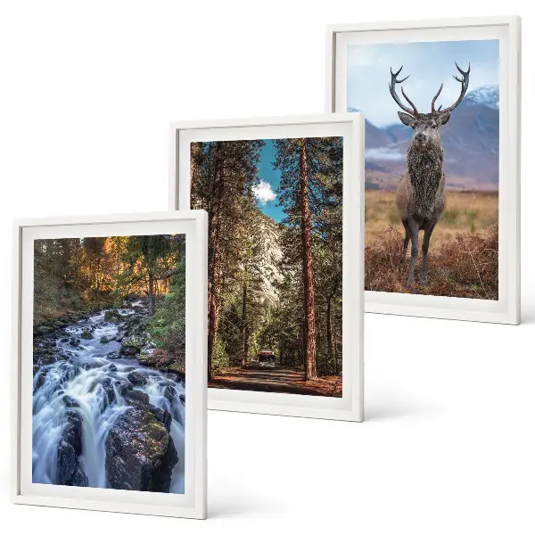 Three-piece waterfall, forest, and mountain deer wall art nature themed landscape print