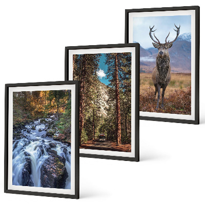 Three-piece wall art piece Waterfall forest mountains deer nature