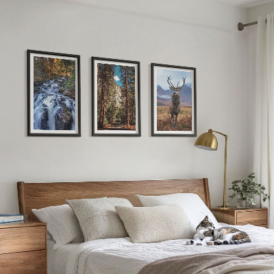 Three-piece wall art piece Waterfall forest mountains deer nature