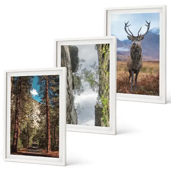 Set of 3 framed wall art pieces featuring a road through a forest with mountains and deer