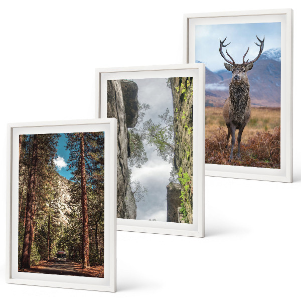 Set of 3 framed wall art pieces Road forest mountains deer nature