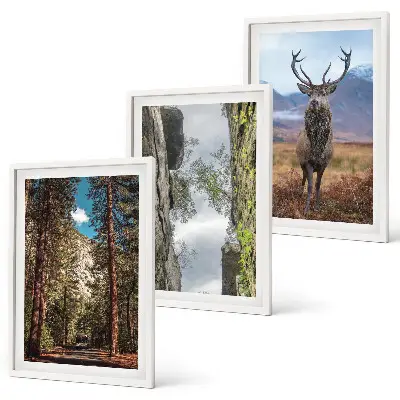 Set of 3 framed wall art pieces featuring a road through a forest with mountains and deer