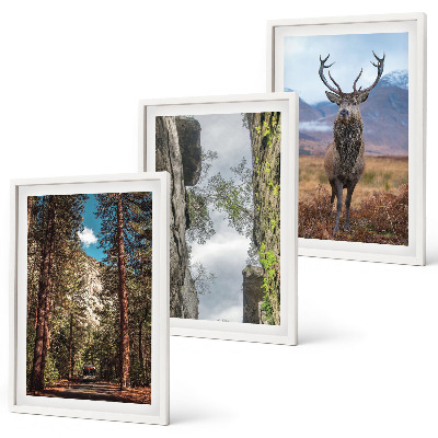 Set of 3 framed wall art pieces Road forest mountains deer nature