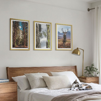 Set of 3 framed wall art pieces Road forest mountains deer nature