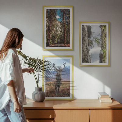 Set of 3 framed wall art pieces Road forest mountains deer nature