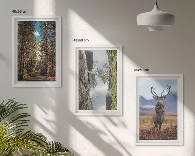 Set of 3 framed wall art pieces featuring a road through a forest with mountains and deer