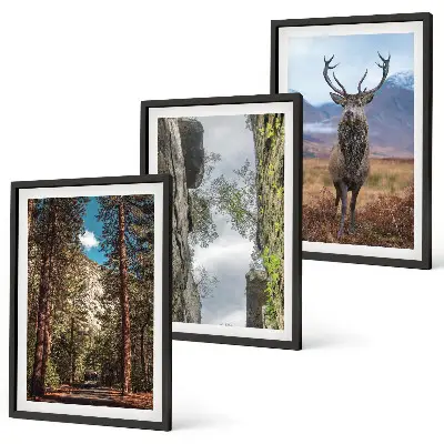 Set of 3 framed wall art pieces featuring a road through a forest with mountains and deer