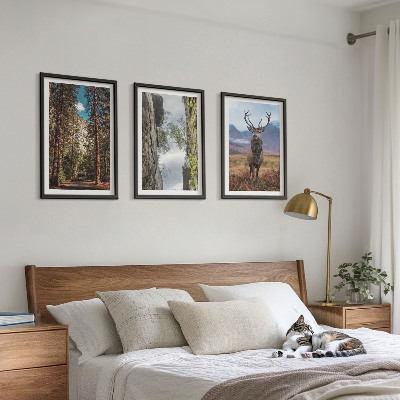 Set of 3 framed wall art pieces Road forest mountains deer nature