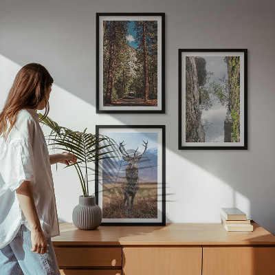 Set of 3 framed wall art pieces Road forest mountains deer nature