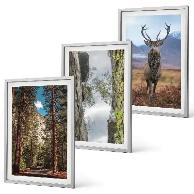 Set of 3 framed wall art pieces featuring a road through a forest with mountains and deer