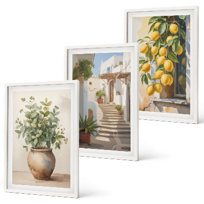 Set of 3 framed wall art pieces Plants in pots, lemons, street