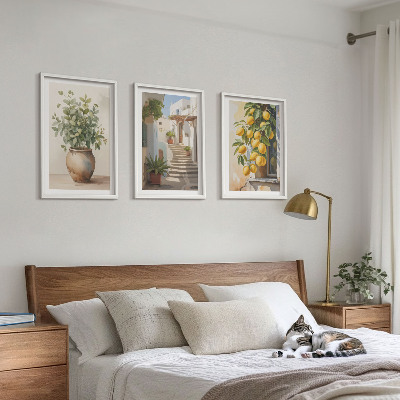 Set of 3 framed wall art pieces Plants in pots, lemons, street