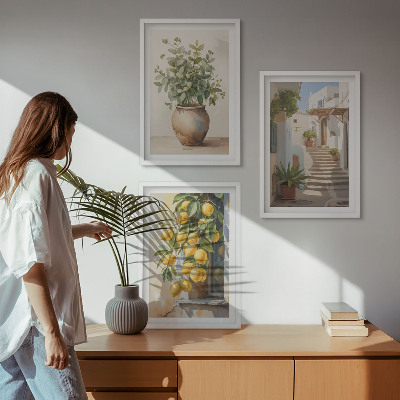 Set of 3 framed wall art pieces Plants in pots, lemons, street