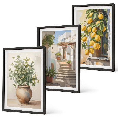 Set of 3 framed wall art pieces Plants in pots, lemons, street