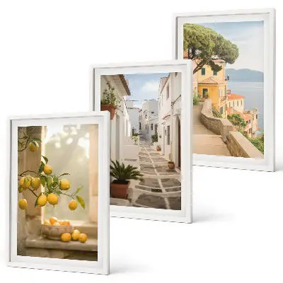 Citrus tree window view wall art set 