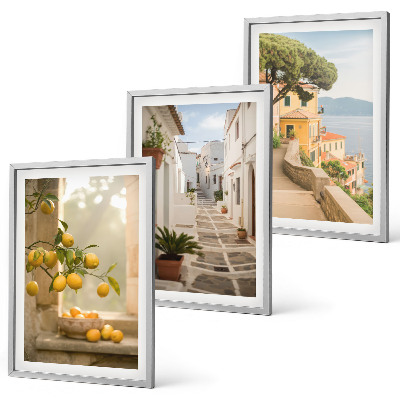 Wall art set Citrus tree window view