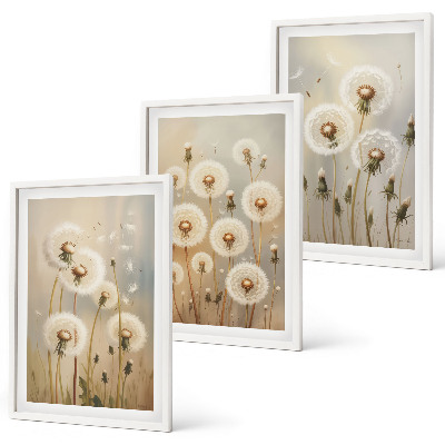 Set of 3 framed wall art pieces White dandelions on a light background
