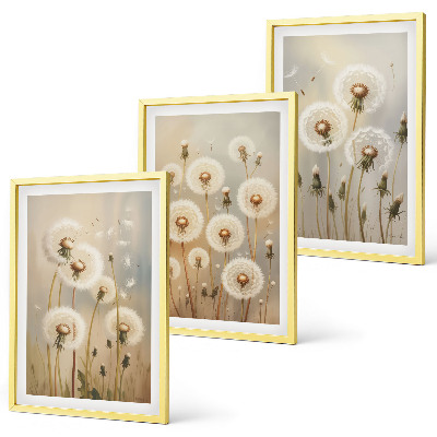 Set of 3 framed wall art pieces White dandelions on a light background