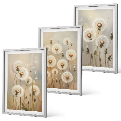 Set of 3 framed wall art pieces White dandelions on a light background