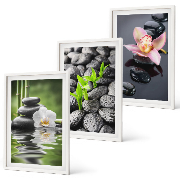 Wall art set A calm zen composition of flowers and water