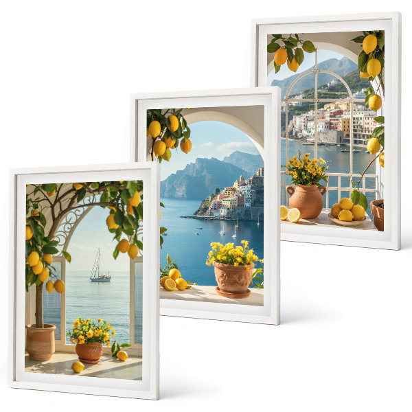 Set of 3 framed wall art pieces Sea town lemons flowers