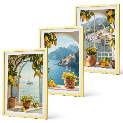 Set of 3 framed wall art pieces Sea town lemons flowers