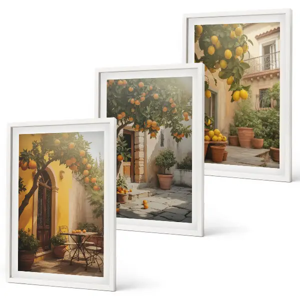 Sunny patio citrus pots framed wall art set of 3 pieces