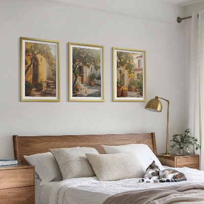 Set of 3 framed wall art pieces Sunny patio citrus pots