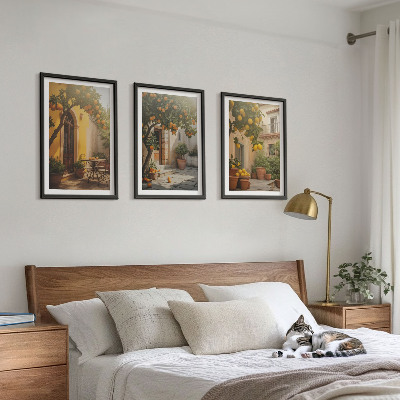 Set of 3 framed wall art pieces Sunny patio citrus pots