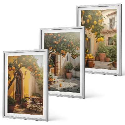 Set of 3 framed wall art pieces Sunny patio citrus pots