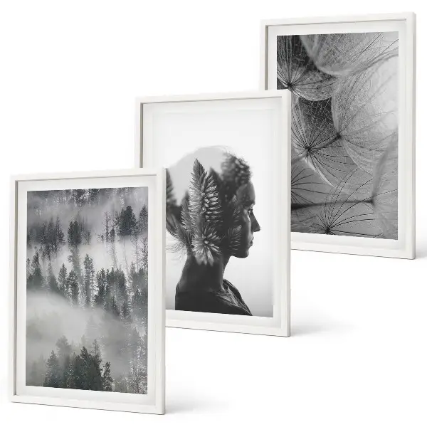 Set of 3 framed wall art pieces featuring a forest fog portrait with trees and dandelions